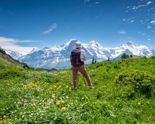The Ultimate Alpine Portfolio: Why the Jungfrau Circuit Is the Season’s Most Coveted Trek